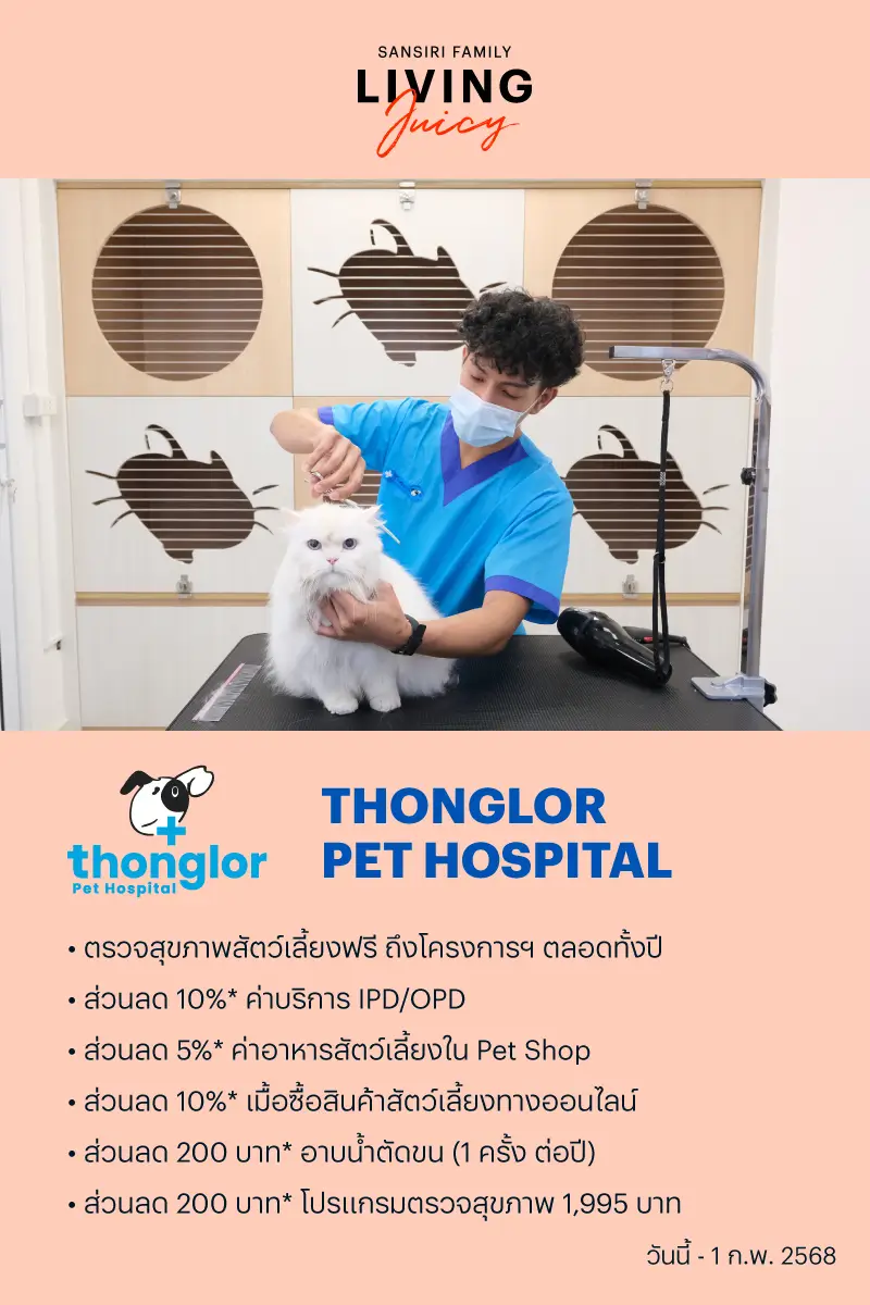 Thonglor Pet Hospital
