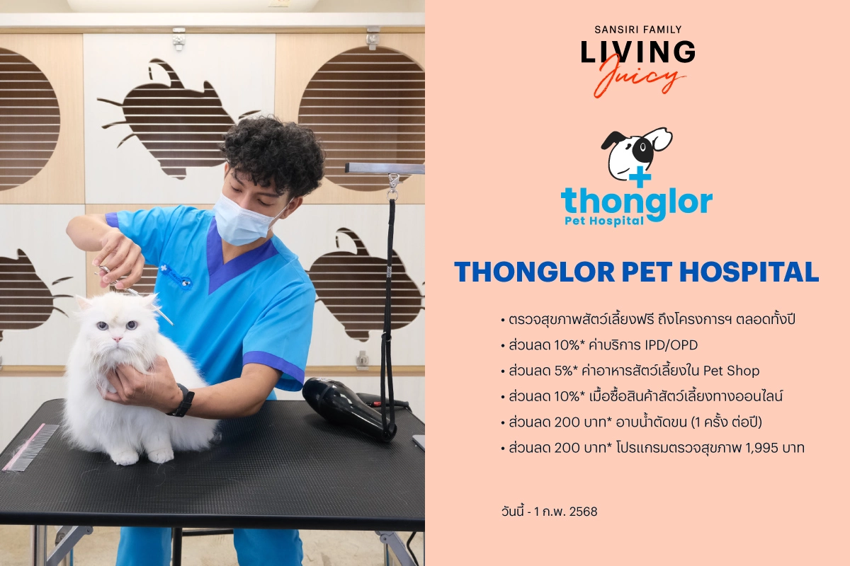 Thonglor Pet Hospital