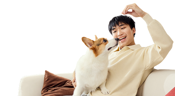 Pet Friendly บ้าน ทาวน์โฮม คอนโด แบบฉบับคนรักสัตว์